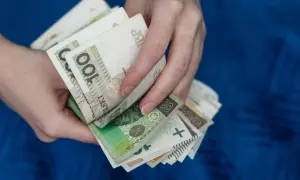 Dłonie trzymają stos polskich banknotów. Kwestia współwłaściciela konta bankowego a urząd skarbowy bywa skomplikowana.
