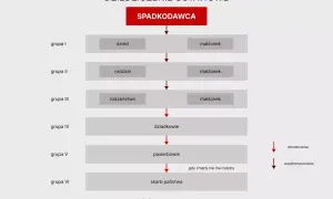 Drzewo dziedziczenia spadku: od spadkodawcy przez dzieci, rodziców, rodzeństwo, dziadków, pasierbów do skarbu państwa.