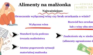 Kluczowe czynniki przy ustalaniu, ile wynoszą średnie alimenty na żonę: wina, standard życia i niedostatek.