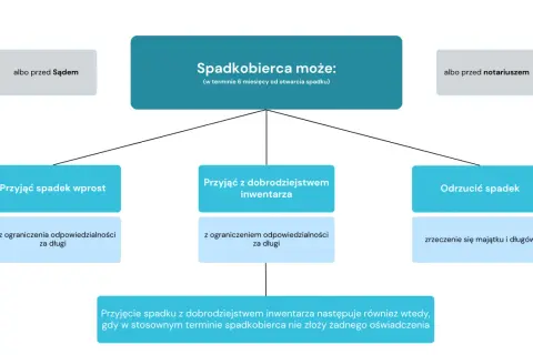 Schemat pokazuje opcje spadkobiercy: przyjąć spadek wprost, z dobrodziejstwem inwentarza lub odrzucić. Intercyza a dziedziczenie - ważne decyzje.