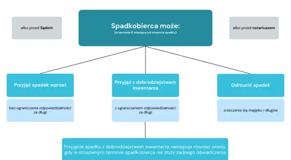 Schemat pokazuje opcje spadkobiercy: przyjąć spadek wprost, z dobrodziejstwem inwentarza lub odrzucić. Intercyza a dziedziczenie - ważne decyzje.