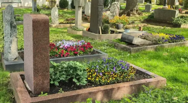 Cmentarz z zadbanymi nagrobkami i kwitnącymi kwiatami. Każdy grób to symbol prawa do grobu i pamięci.