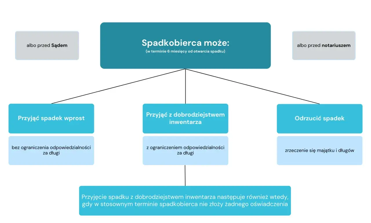 Schemat pokazuje, jak spadkobierca może przyjąć spadek wprost (bez ograniczenia odpowiedzialności za długi), przyjąć z dobrodziejstwem inwentarza (z ograniczeniem odpowiedzialności za długi) lub odrzucić spadek, unikając dziedziczenia długów do kolejny...