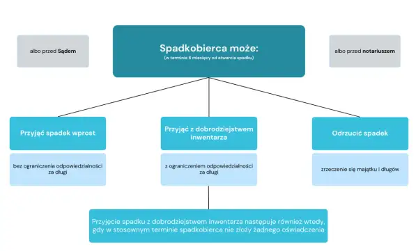 Schemat pokazuje opcje spadkobiercy: przyjąć spadek wprost, z dobrodziejstwem inwentarza lub odrzucić. Intercyza a dziedziczenie - ważne decyzje.
